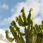 Casa Jable Anne Vila Costa Adeje (Tenerife)