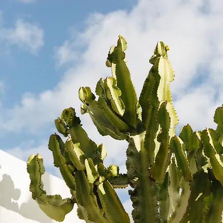 Casa Jable Anne Vila Costa Adeje (Tenerife)