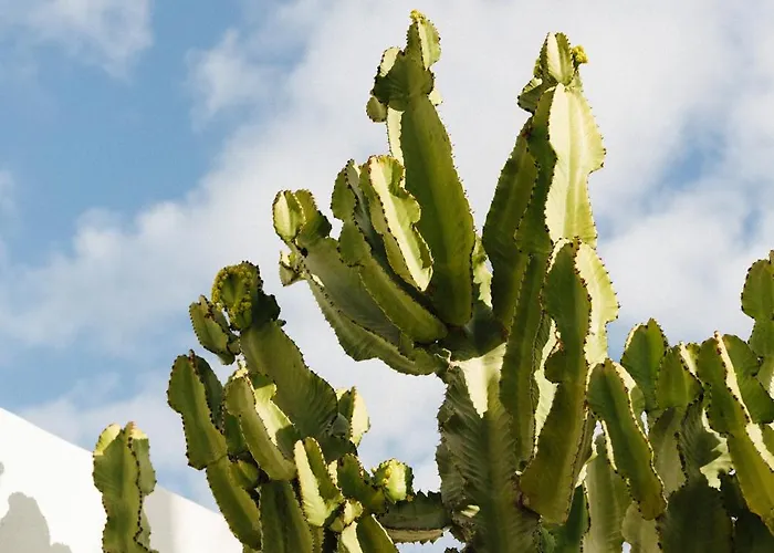 Casa Jable Anne 빌라 아데제